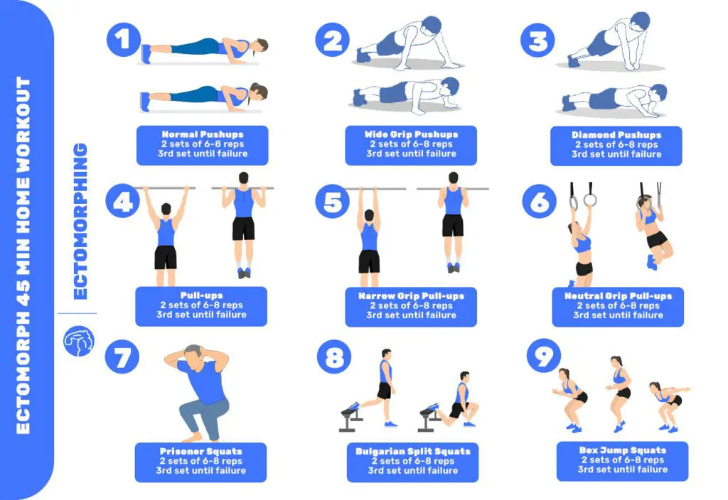 Ectomorph Home Workout Ectomorphing