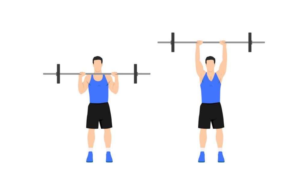 best shoulder exercises for ectomorphs: barbell shoulder press