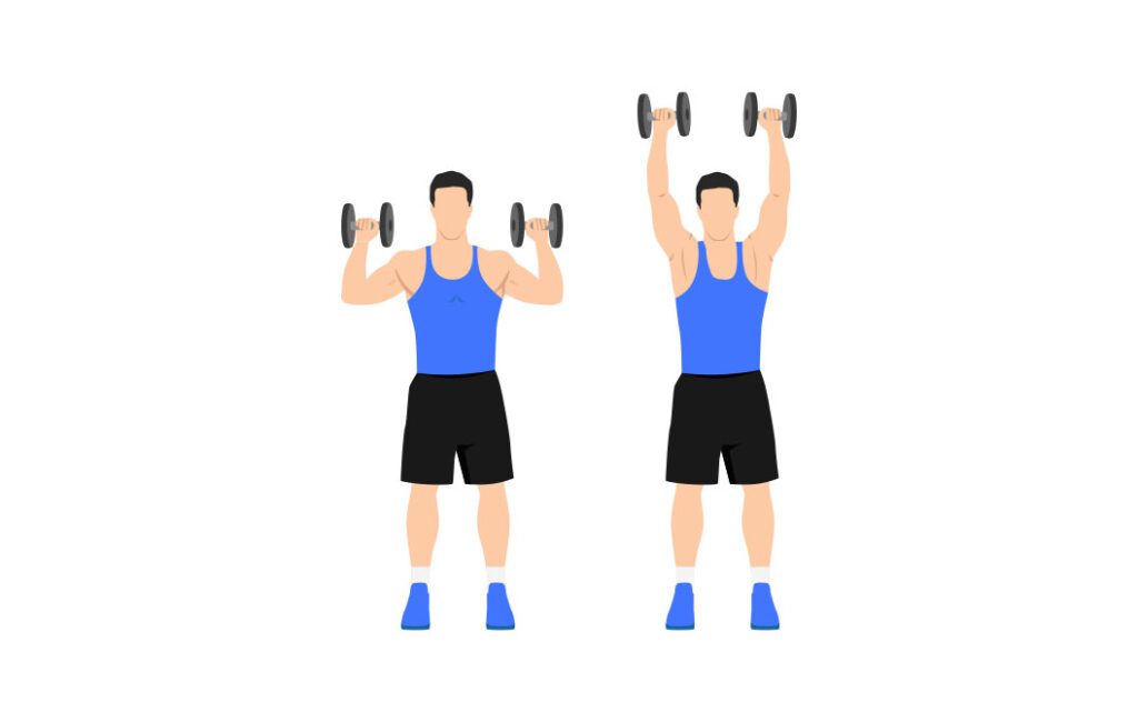 best shoulder exercises for ectomorphs: dumbbell shoulder press