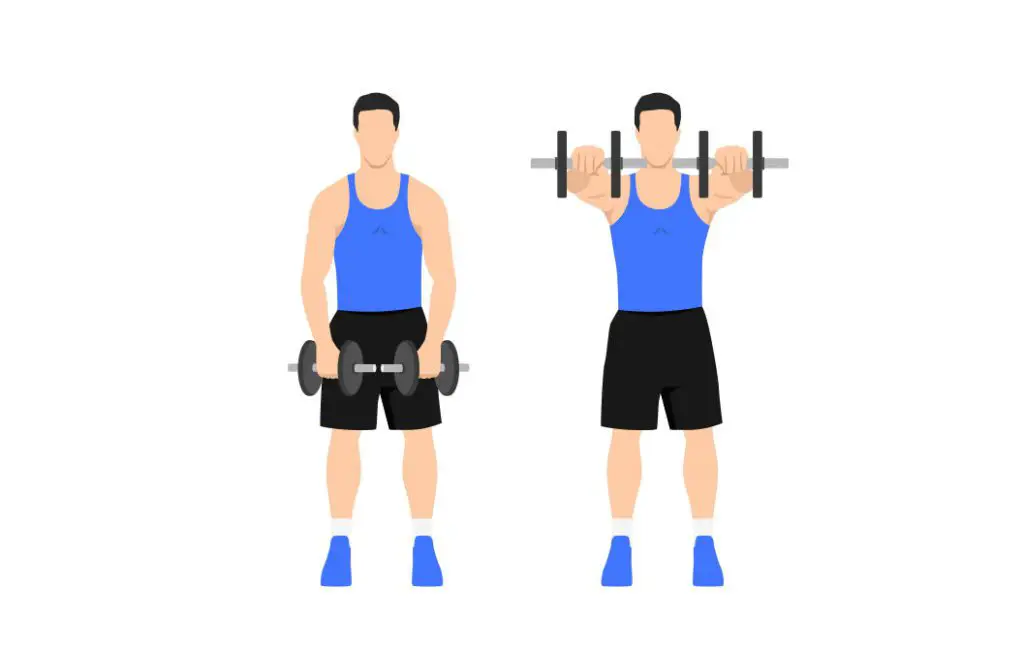 best shoulder exercises for ectomorphs: front raises