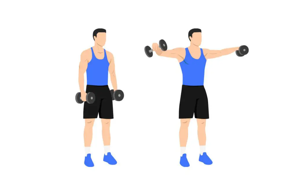 best shoulder exercises for ectomorphs: lateral raises