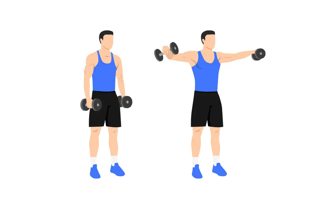 Best Shoulder Exercises For Ectomorphs [Unleash Your Aesthetic]