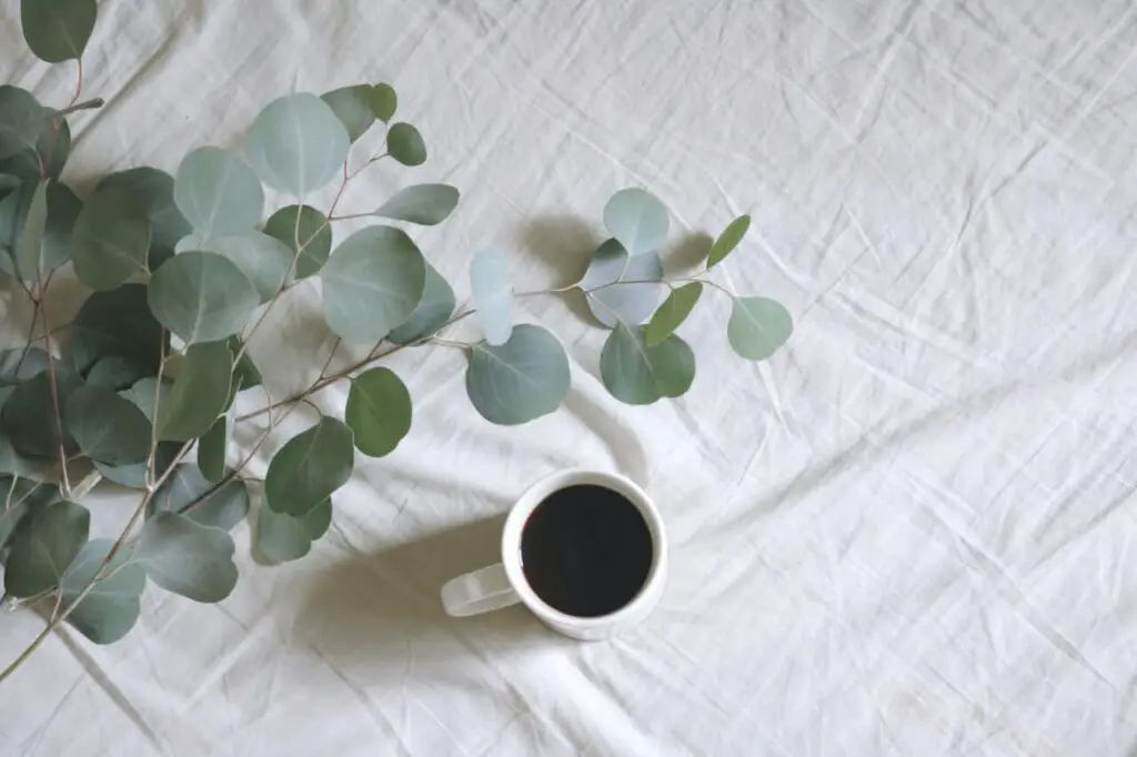 white mug containing coffee next to green leaves