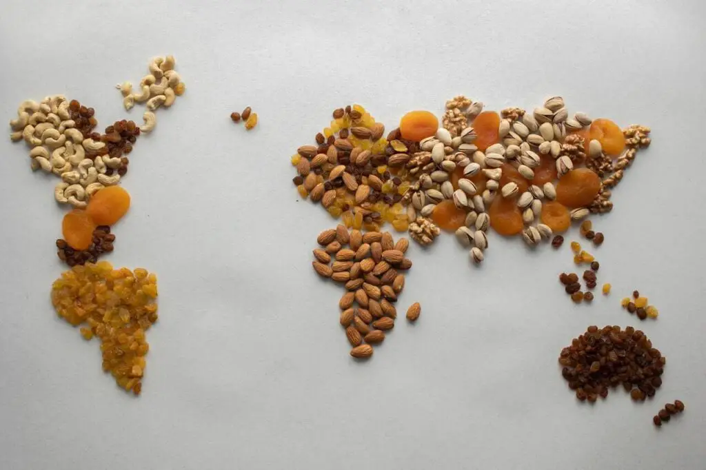 world map made of dried fruits
