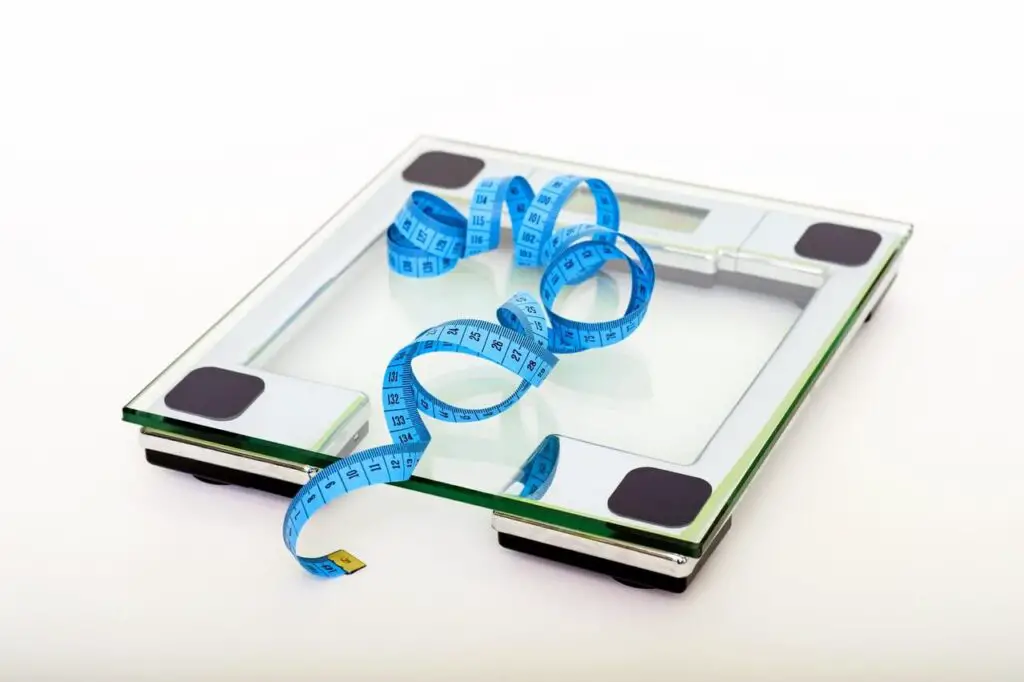 scale that represents ectomorphs burning fat easily
