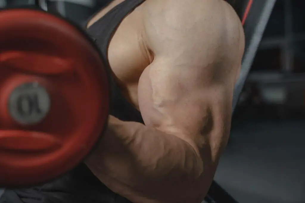close up shot of biceps