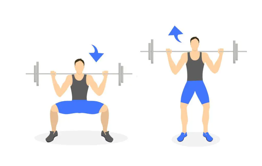 ectomorph compound exercise: squats