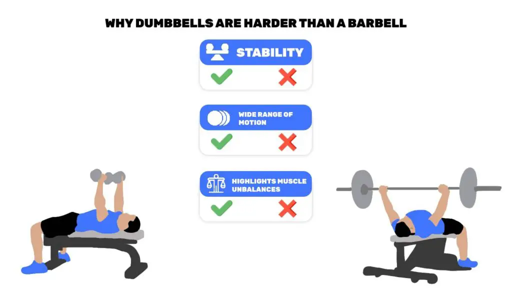 are dumbbells harder than barbells illustration