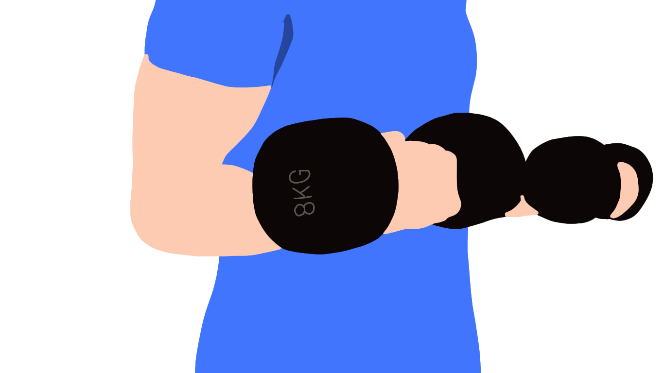 Are 8kg Dumbbells Enough? Ectomorphing