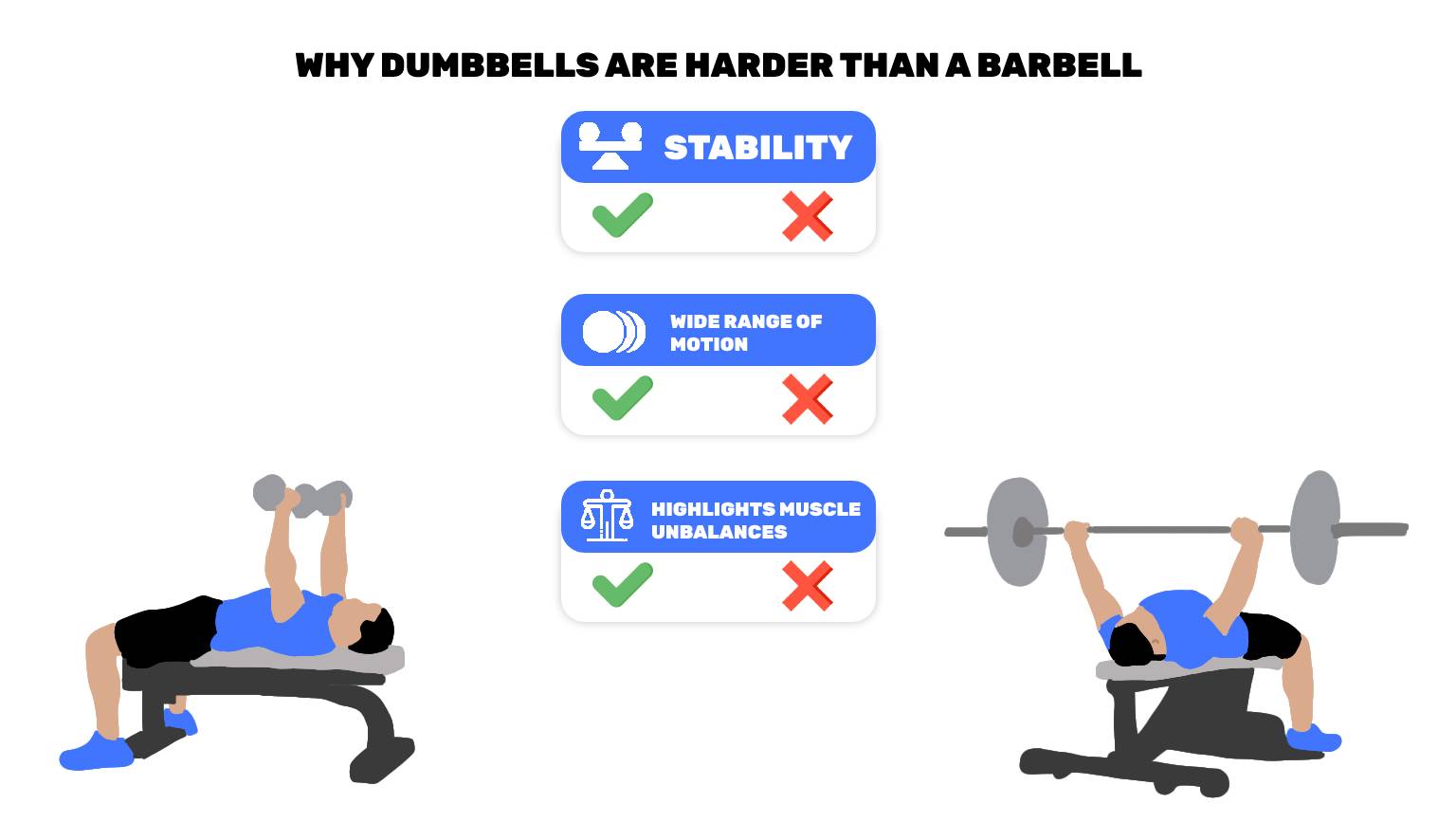 Are Dumbbells Harder Than Barbells? Ectomorphing