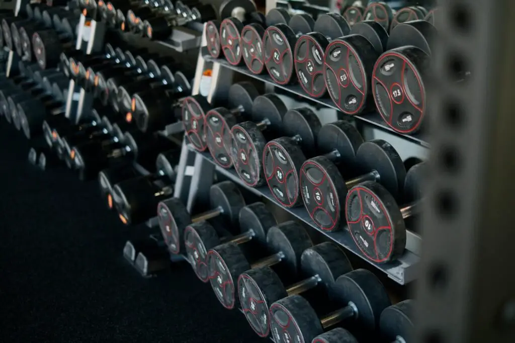 dumbbell rack