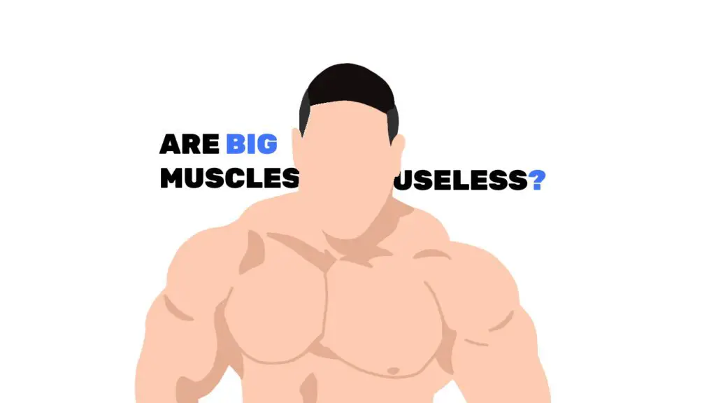 are big muscles useless