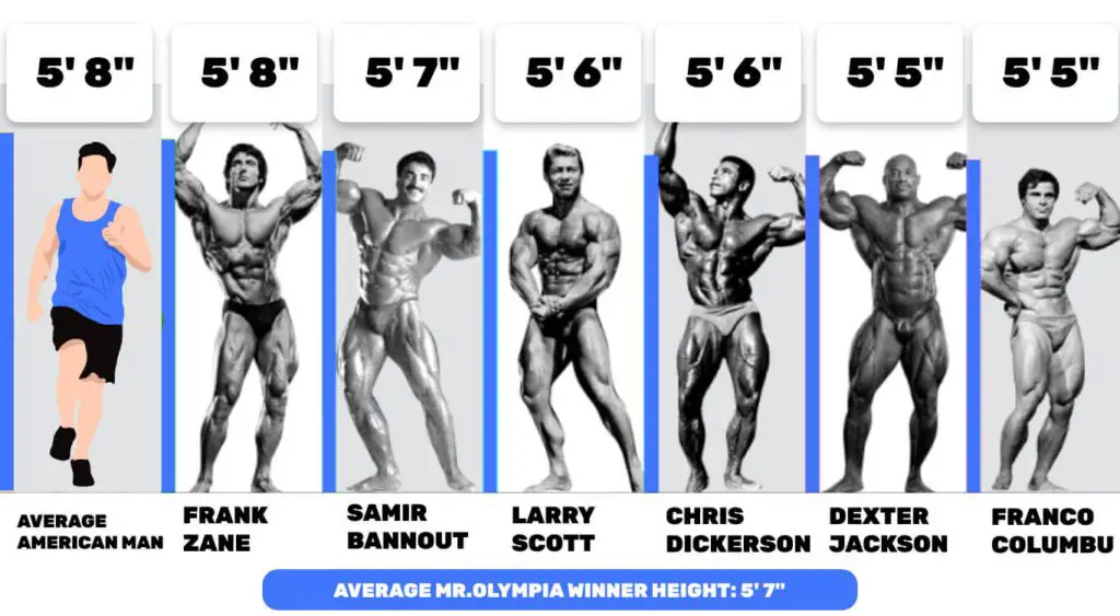 Average mr.olympia winners height