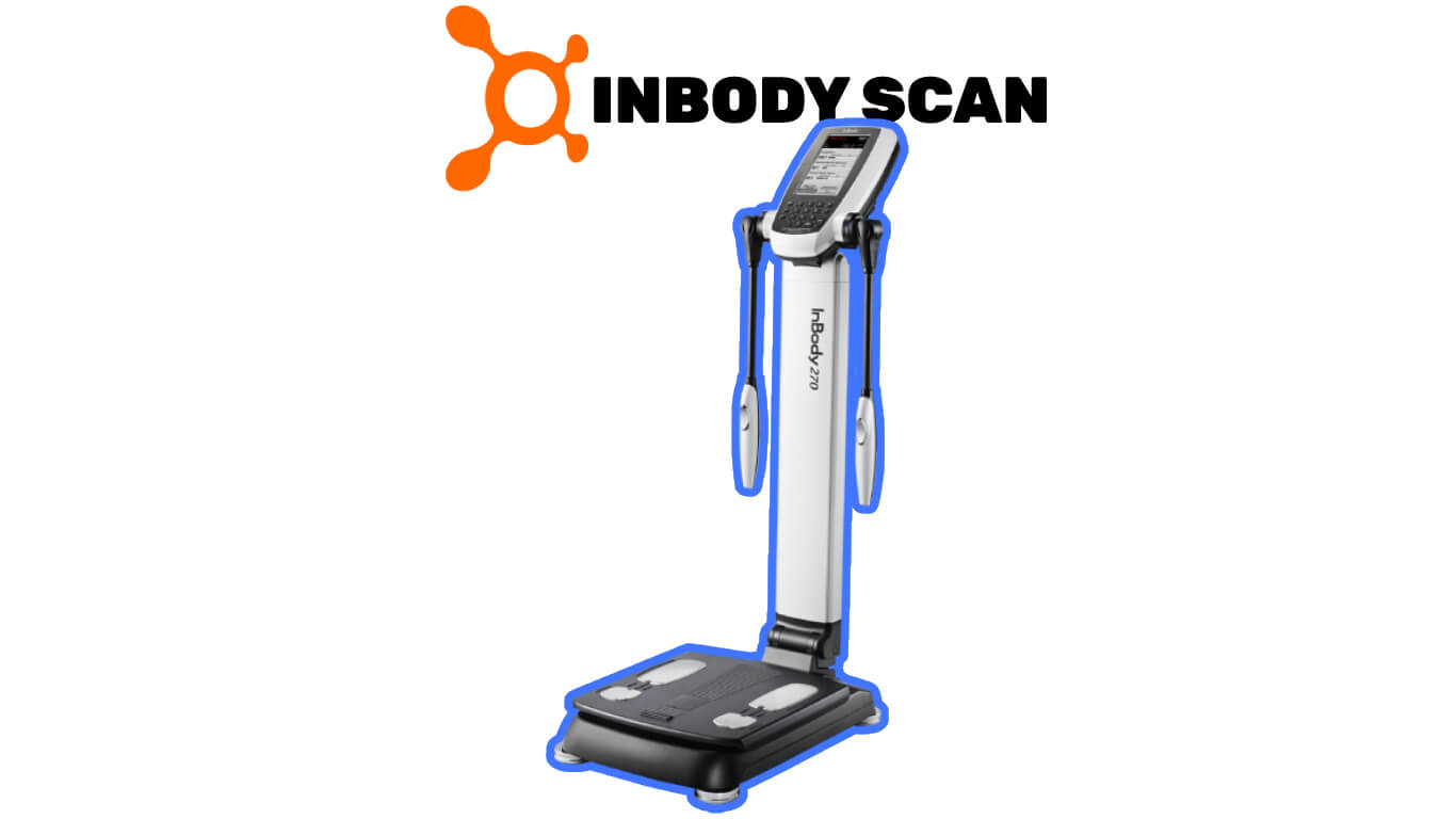 OrangeTheory InBody Scan [Eveything You Need to Know]