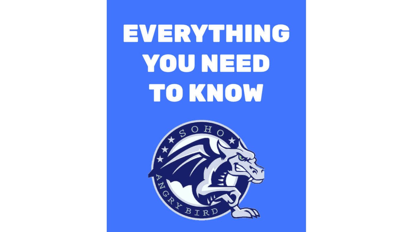 f45 angry bird workout